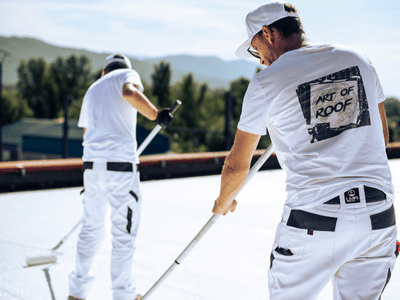 About Leaking Skylight Repair Pros San Ysidro, CA